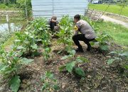 Bhabinkamtibmas Jemirahan Tinjau Lahan Warga, Dukung Program Ketahanan Pangan Bergizi