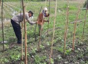 Bhabinkamtibmas Desa Balongtani Tinjau Lahan Ketahanan Pangan di Kecamatan Jabon