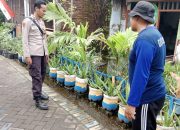 Polisi Cinta Petani Bhabinkamtibmas Banjar Panji dan Warga desa Kembangkan Lidah Buaya untuk Ketahanan Pangan