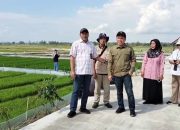 Dorong Percepatan Tanam, Direktur Hilirisasi Hasil Tanaman Pangan Ditjen Tanaman Pangan Kementerian Pertanian Kunjungi 2 Desa di Banyumas