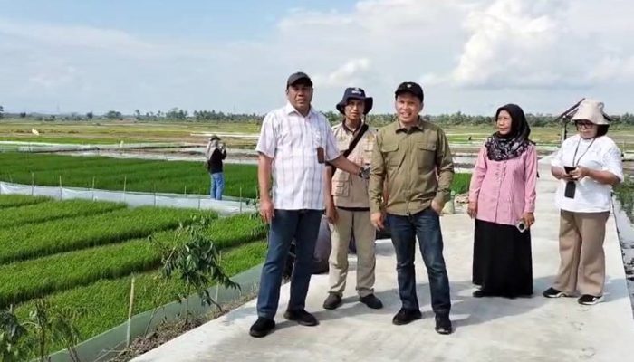 Dorong Percepatan Tanam, Direktur Hilirisasi Hasil Tanaman Pangan Ditjen Tanaman Pangan Kementerian Pertanian Kunjungi 2 Desa di Banyumas