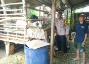 Optimalisasi Pekarangan, Bhabinkamtibmas Kenongo Dukung Peternakan Kambing untuk Ketahanan Pangan