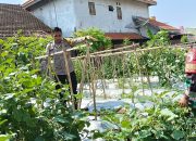 Bhabinkamtibmas Jemirahan Tinjau Lahan Pekarangan untuk Ketahanan Pangan Warga