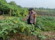Kapolsek Taman Dorong Bhabinkamtibmas Aktif Dukung Ketahanan Pangan