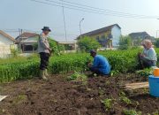 Polsek Porong Dorong Ketahanan Pangan, Tanam Kangkung di Pekarangan Warga