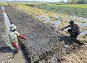 Polisi Bersama Warga Wonoayu Siapkan Lahan Tanam Padi