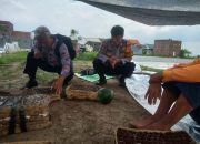Bhabinkamtibmas Desa Kedensari Tinjau Lahan Pekarangan Warga untuk Dukung Ketahanan Pangan