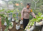 Bhabinkamtibmas Desa Bangah Motivasi Warga Optimalkan Ketahanan Pangan Melalui Tanaman Sayur
