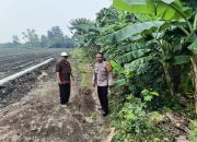 Bhabinkamtibmas Desa Kedondong Tinjau Lahan Ketela Pohon untuk Perkuat Ketahanan Pangan