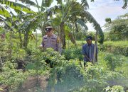 Bhabinkamtibmas Desa Pangkemiri Cek Lahan P2B untuk Dukung Ketahanan Pangan di Tulangan