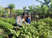 Bhabinkamtibmas Desa Tambak Kalisogo Cek Lahan Pekarangan Untuk Dukung Program Ketahanan Pangan