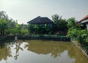 Dukung Asta Cita Presiden, Kapolsek Candi Turunkan Anggota Dampingi Ketahanan Pangan Budidaya Lele di Desa Kalipecabean