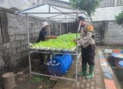 Bhabinkamtibmas Desa Ngaban Tinjau Lahan Pekarangan Warga, Dukung Program Ketahanan Pangan Nasional