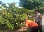 Bhabinkamtibmas Desa Kalitengah Tinjau Lahan Klengkeng Warga Dukung Ketahanan Pangan Bergizi