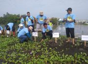 PLN Nusantara Power & Desa Pondok Kelor Kolaborasi Hijau di Hari Lingkungan Hidup Sedunia