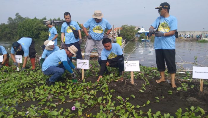PLN Nusantara Power & Desa Pondok Kelor Kolaborasi Hijau di Hari Lingkungan Hidup Sedunia