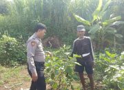 Aiptu F. Rozi Tinjau Lahan Pekarangan Warga, Dorong Ketahanan Pangan di Desa Permisan