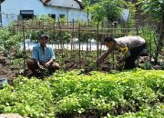 Optimalisasi Pekarangan Warga, Bhabinkamtibmas Jemirahan Dorong Ketahanan Pangan