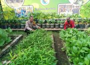 Bhabinkamtibmas Kenongo Cek Lahan Sawi Warga untuk Dukung Ketahanan Pangan