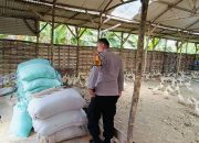 Bhabinkamtibmas Sambangi Desa Segodobancang, Dukung Ketahanan Pangan Peternakan Bebek