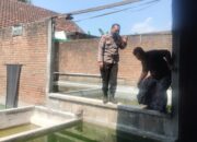 Bhabinkamtibmas Polsek Porong Tinjau Program Ketahanan Pangan Budidaya Ikan Mujaer