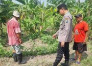 Warga Kedungturi Taman Manfaatkan Lahan Kosong untuk Sukseskan Program Ketahanan Pangan