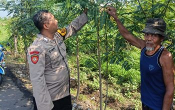 Dukung Swasembada Pangan, Bhabinkamtibmas Permisan Tinjau Lahan Warga