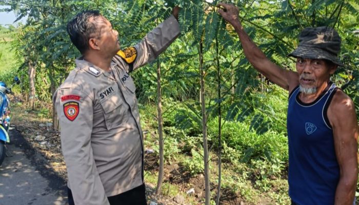 Dukung Swasembada Pangan, Bhabinkamtibmas Permisan Tinjau Lahan Warga