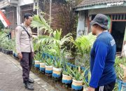 Polsek Tanggulangin Aktif Dorong Ketahanan Pangan Melalui Pemanfaatan Lahan Produktif