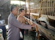 Bhabinkamtibmas Desa Kemantren Dukung Ketahanan Peternakan Kambing Warga