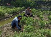 Bhabinlamtibmas Desa Grabagan Lakukan Pengecekan Lahan untuk Ketahanan Pangan Warga