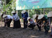Bupati Sleman Dukung Polresta Tanam Jagung Serentak Kuartal III Bersama, Ini Tujuannya