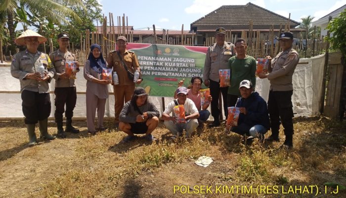 Dorong Ketahanan Pangan, Pemkab Lahat Salurkan Bibit Jagung Hibrida dan Pupuk Organik ke Petani Bungamas
