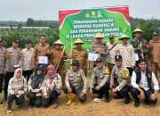Kolaborasi TNI-Polri, PT BSP, dan Pemdes Tanam Jagung Serentak Dukung Ketahanan Pangan Nasional