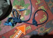 Kakek 73 Tahun di Pekalongan Ditemukan Bundir di Rumahnya