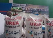 Waspada Penipuan Bermodus Pembeli Pupuk Non-Subsidi di Empat Lawang, Korban Rugi Jutaan