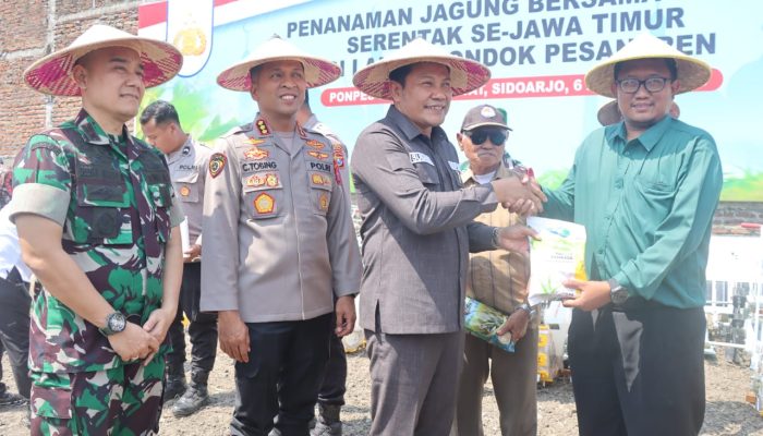 Gas Pol Dukung Swasembada Pangan, Forkopimda Sidoarjo Tanam Jagung di Bumi Sholawat