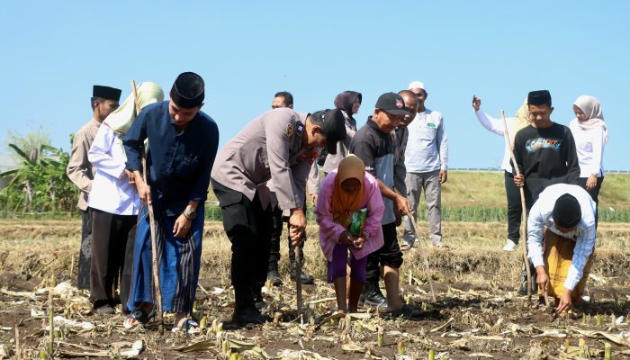 Polres Probolinggo Gandeng Pesantren Tanam Jagung, Dorong Ketahanan Pangan