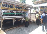 60 Peternakan Kantongi Izin, Dinas Pertanian Probolinggo Gaspol Kawal Mutu Ternak