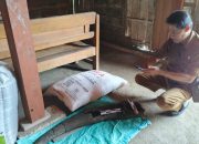 Fosil Tanduk Kerbau Purba Berusia 250.000 Tahun Ditemukan di Blora