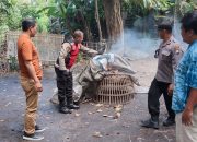 Arena Sabung Ayam di Balongbendo Dibongkar Polisi, Alat Judi Dibakar di Tempat