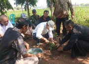 Kotasejuk Nganjuk Tanam Pohon Kemenyan di Candi Lor, Hidupkan Jejak Sejarah Leluhur
