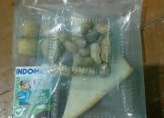 Program SPPG di Gunung Lurah Banyumas Dihentikan Sementara, Menu MBG Disorot