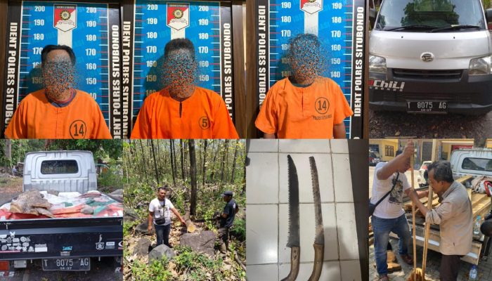 Operasi Gabungan Bongkar Penebangan Liar, Tiga Pelaku Diringkus di Bungatan