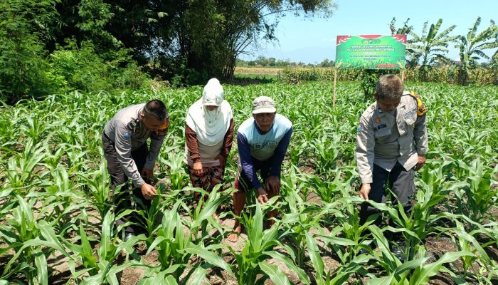 Polsek Balongbendo Dorong Warga Ubah Lahan Tidur Jadi Pekarangan Produkti