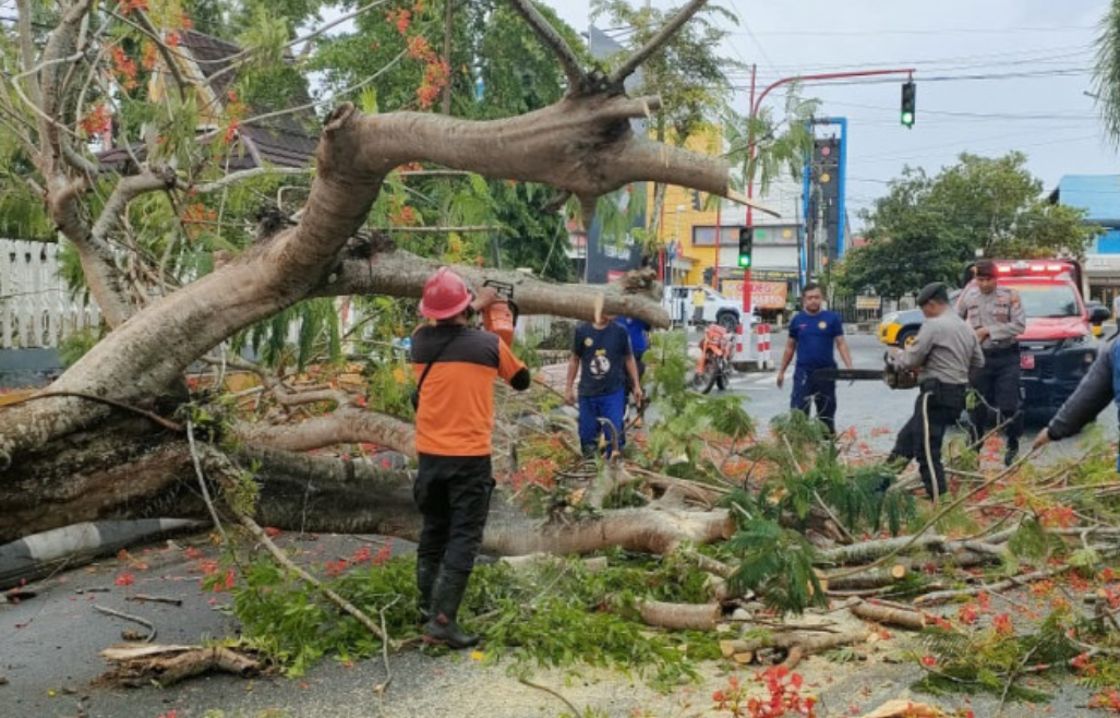 Pohon Tumbang di Dharmawangsa, Warga dan petugas sedang bahu membahu