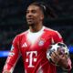 Michael Olise memegang bola Liga Champions bersama Bayern Munchen