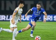 persib bandung vs dewa united dalam duel perebutan bola di lapangan