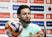 Persib vs Dewa United ilustrasi terkait